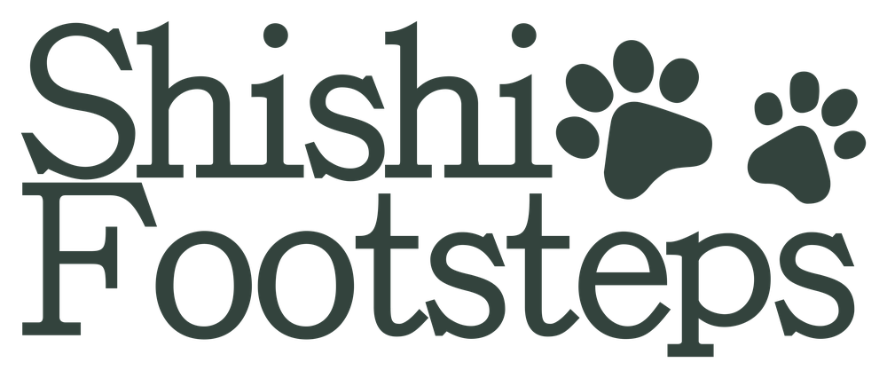 Shishi Footsteps