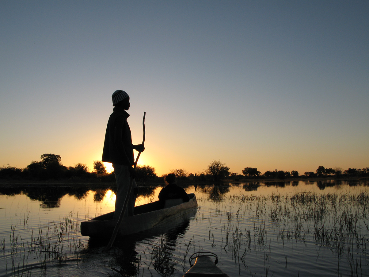 7-Day Savuti Predator Country