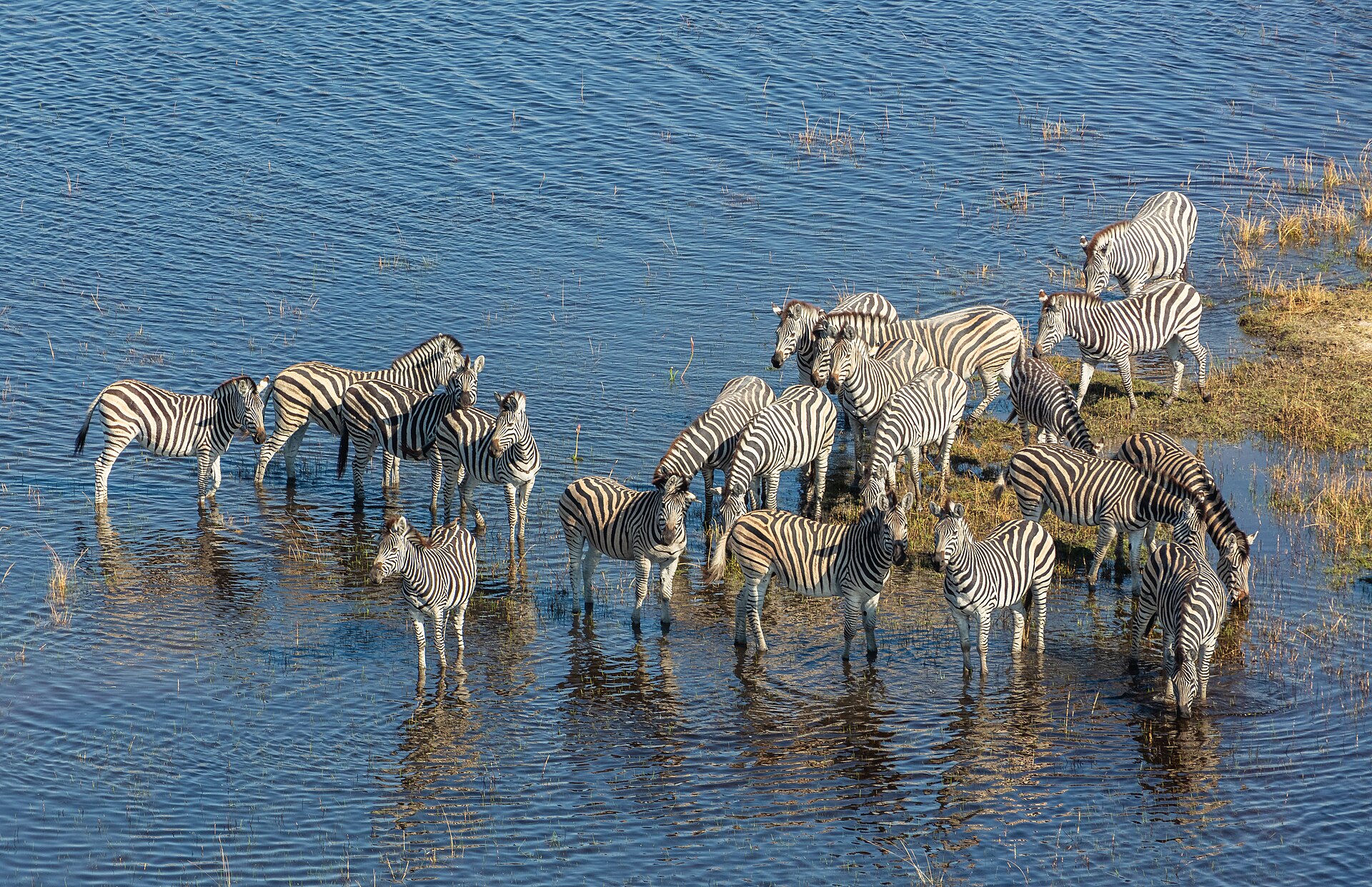 Turn this itinerary into your safari