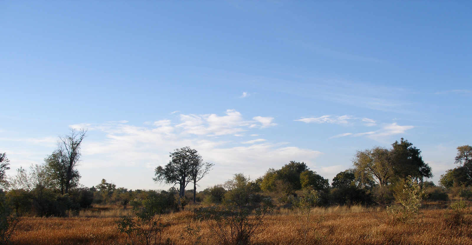 8-Day Moremi & Okavango Private Reserve