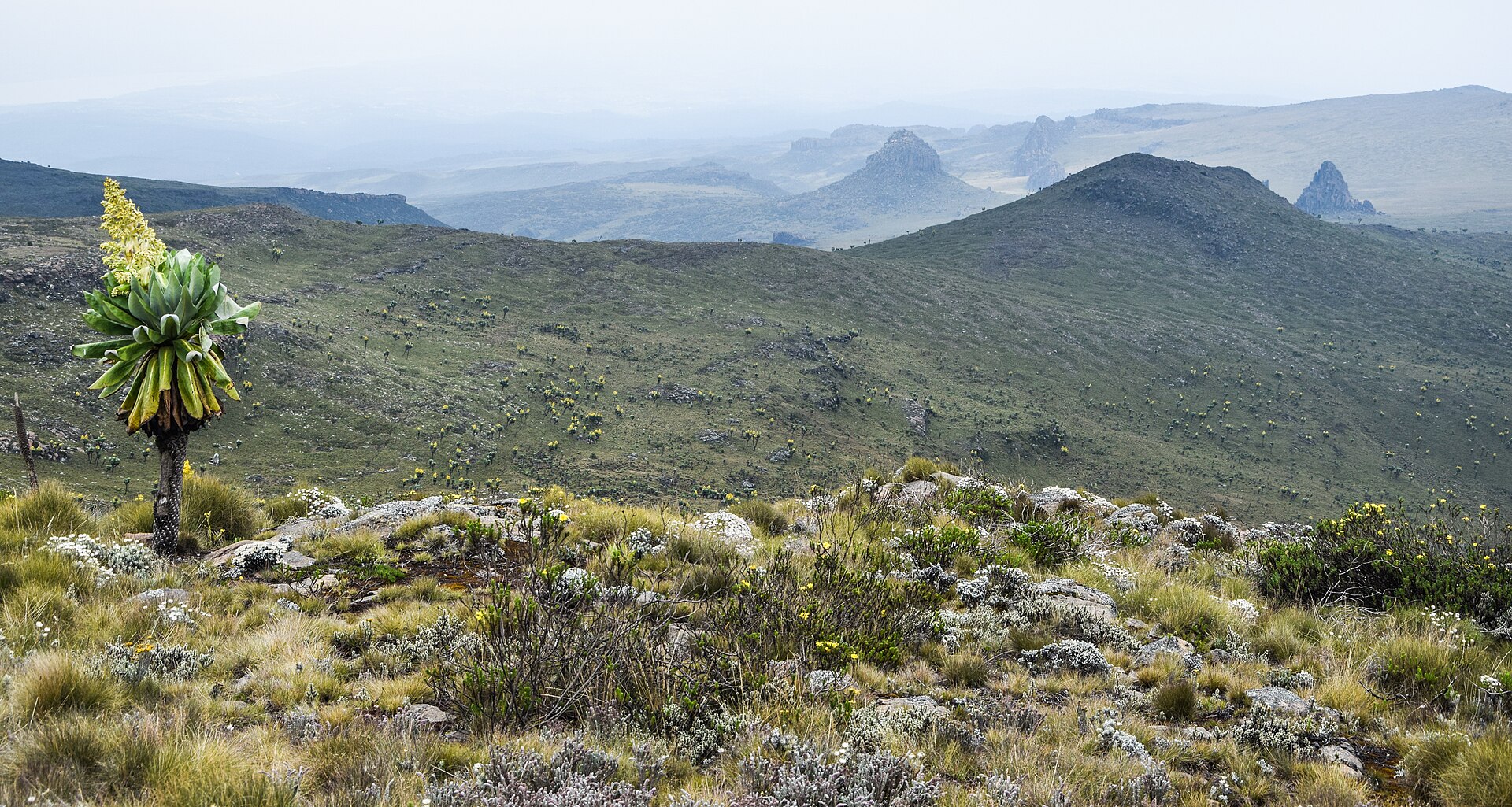 Aberdare Range