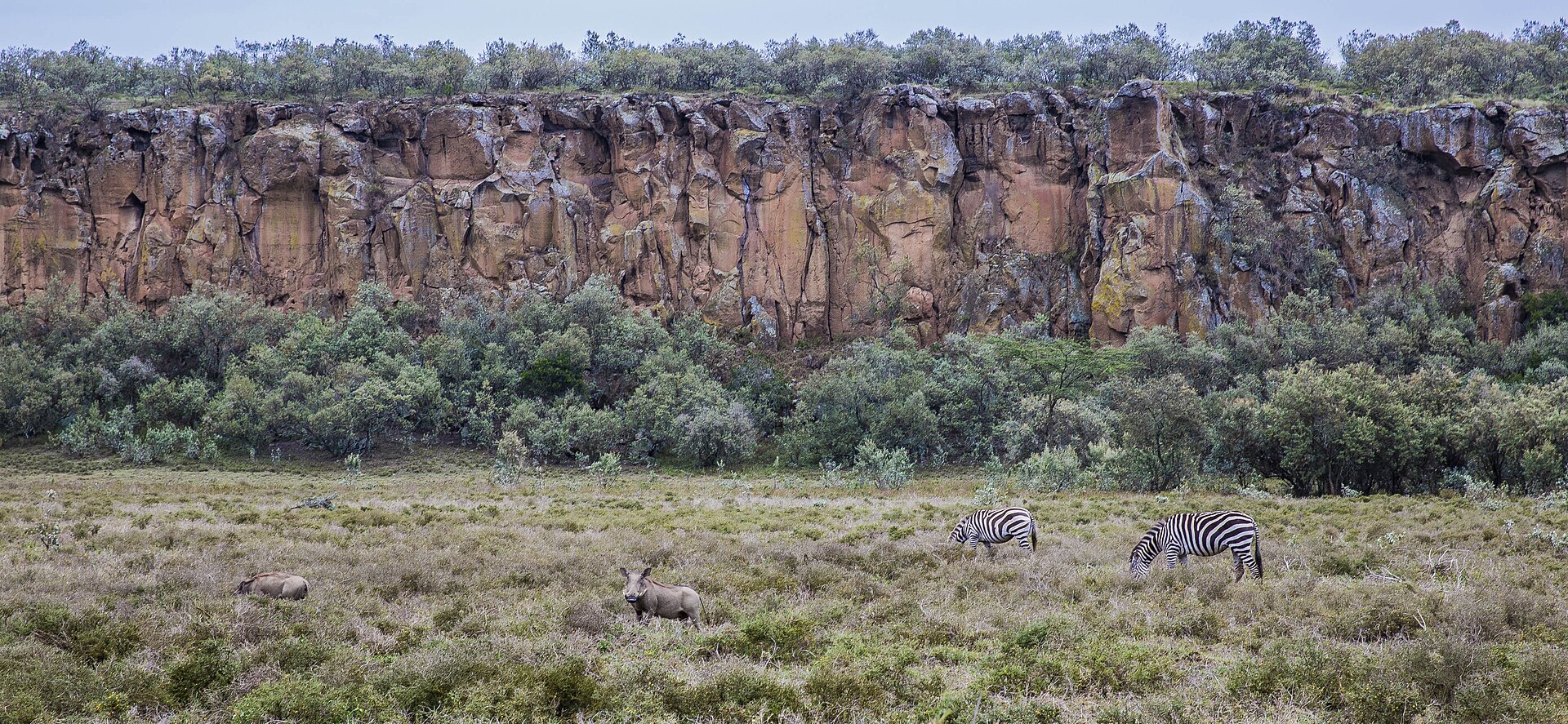 South Rift Helicopter Safari.