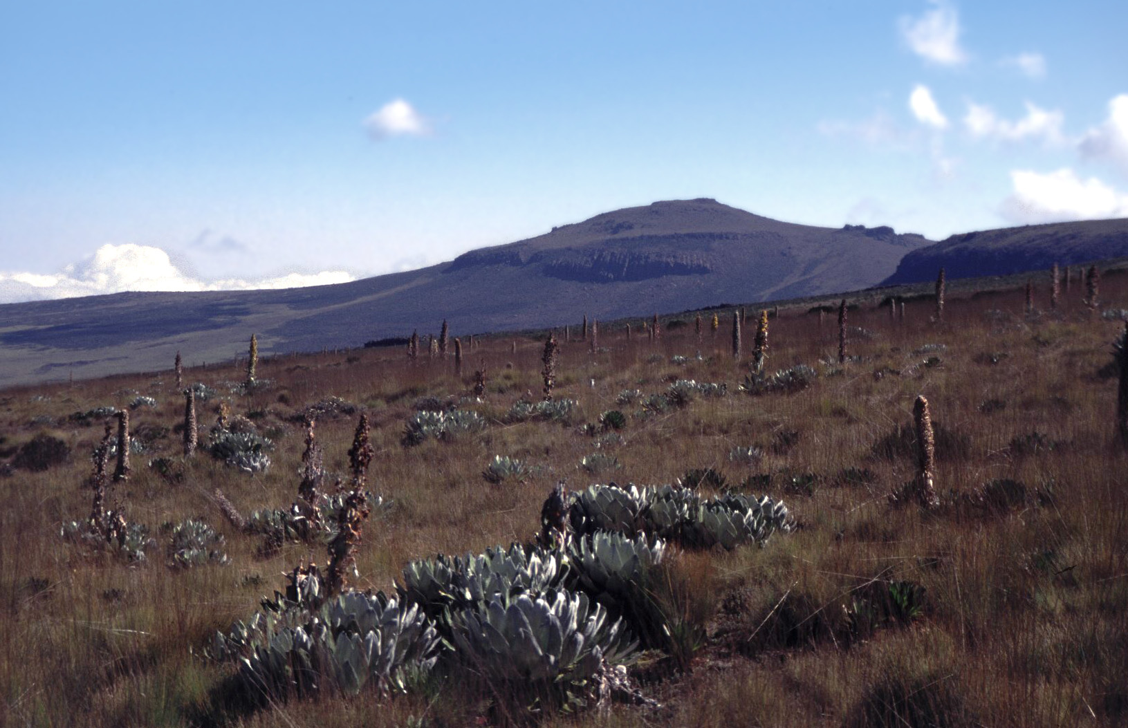 9-Day Mount Kenya Highlands to Watamu Coast