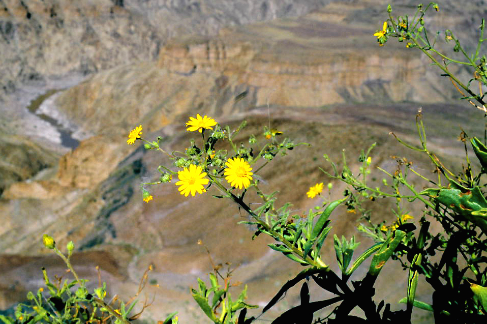 The Fish River winding through the canyon floor