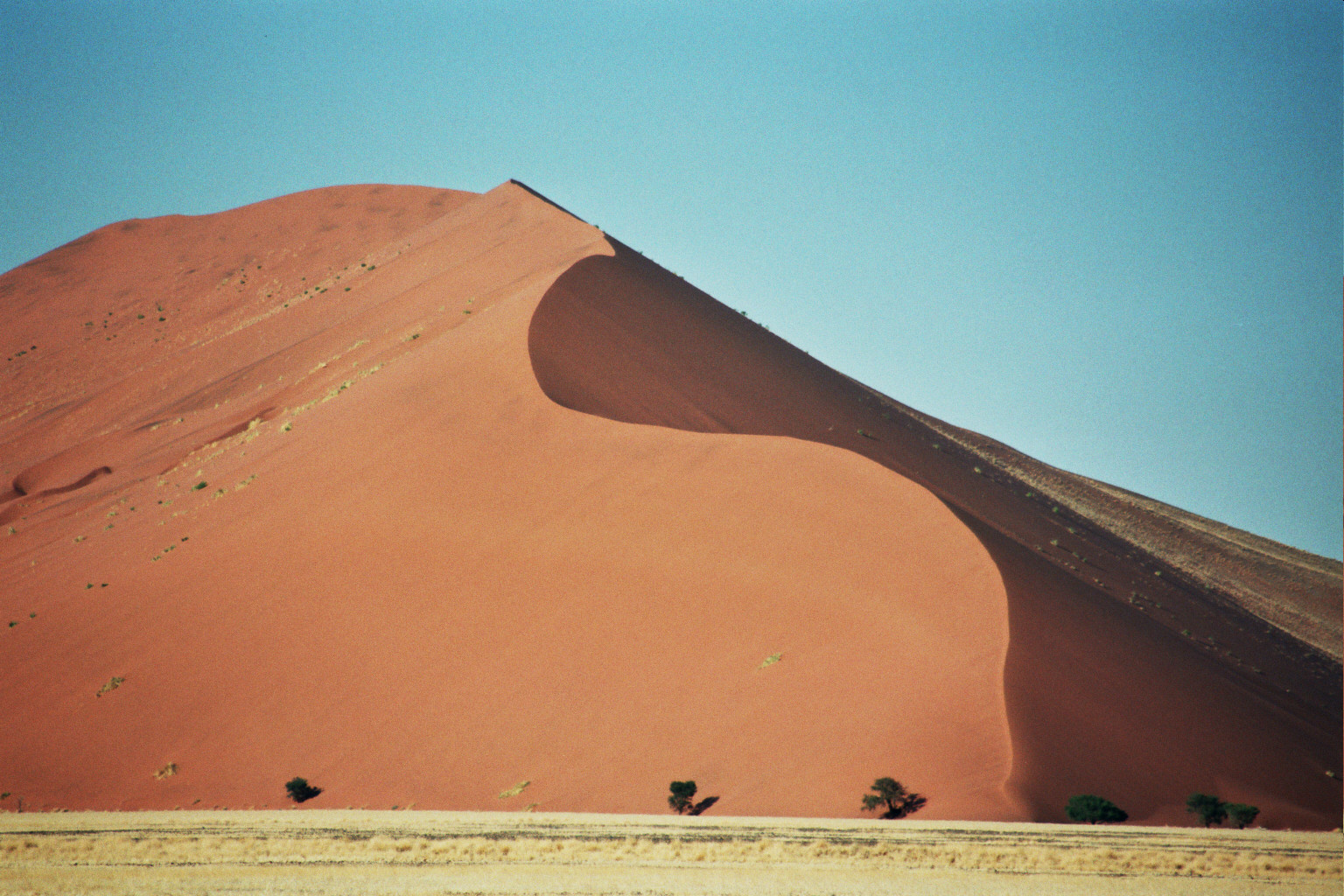 Golden dunes at sunrise