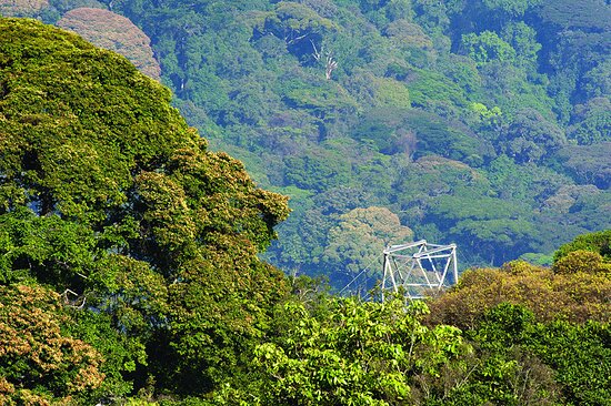 Turn this itinerary into your safari