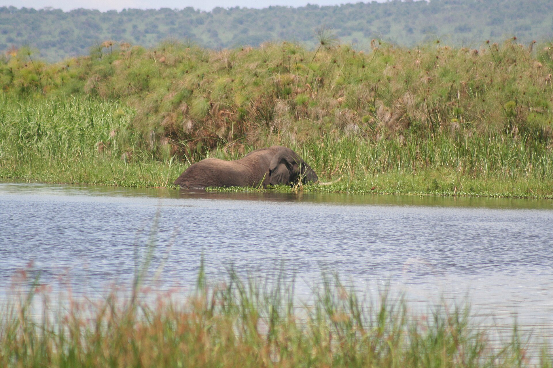 6-Day Akagera Big Five Plains Safari