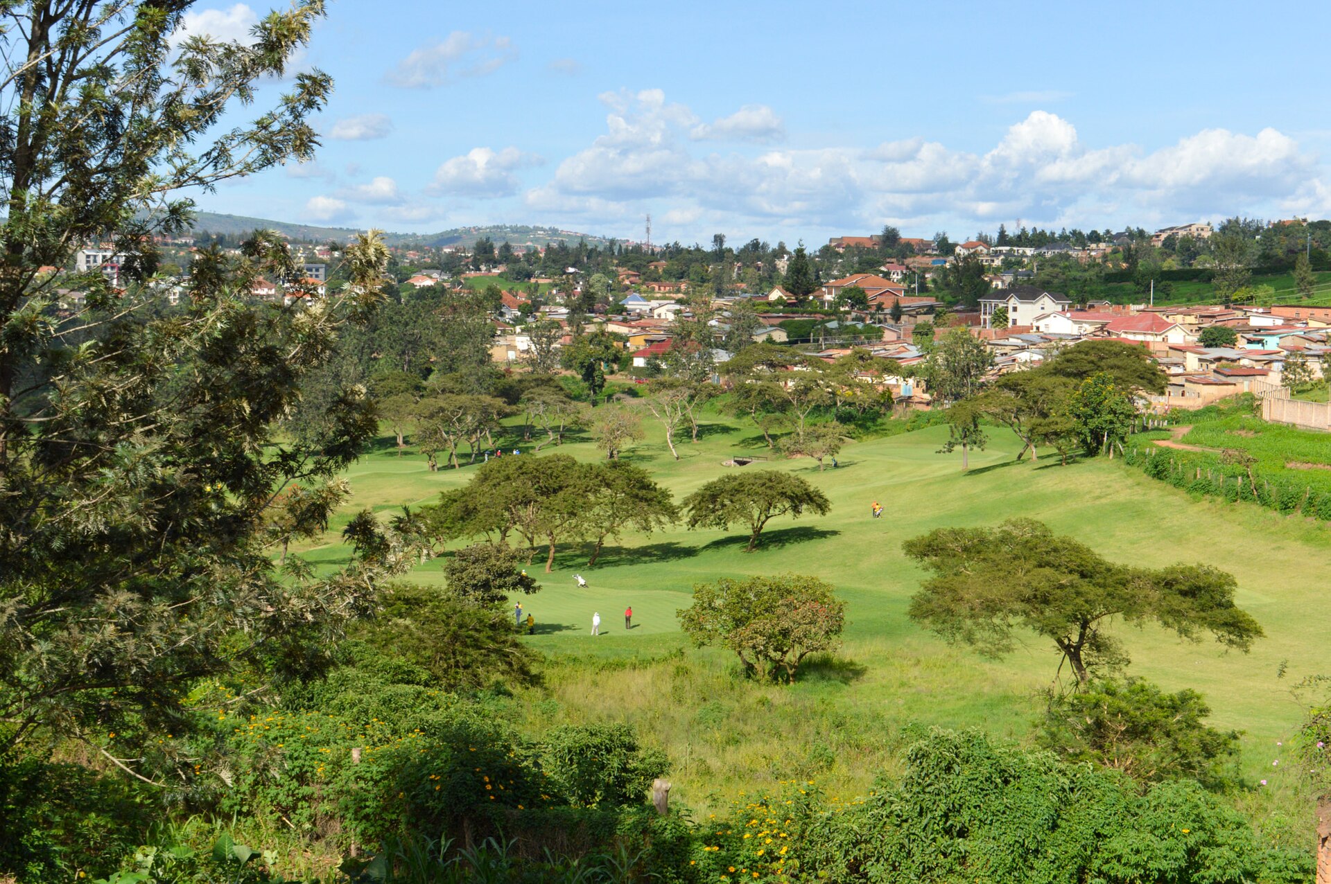 Turn this itinerary into your safari