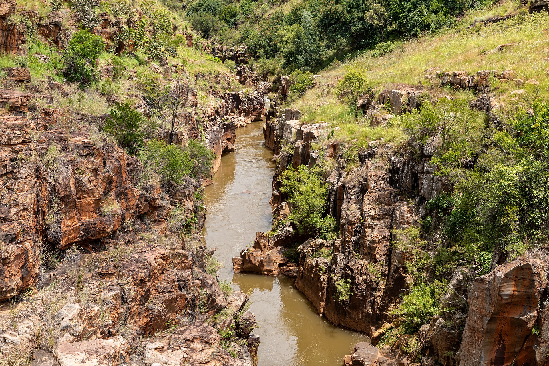 Turn this itinerary into your safari