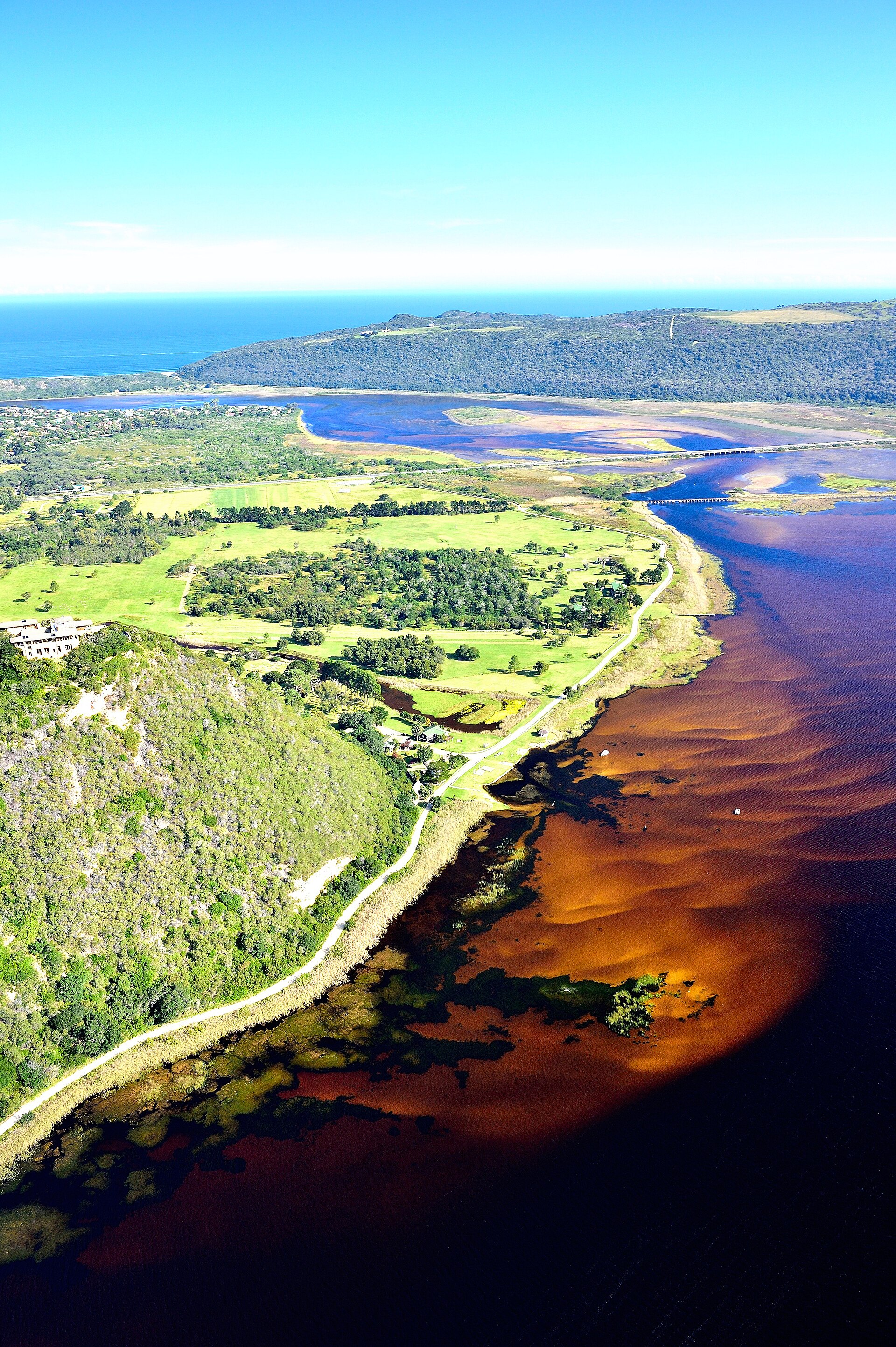 Forest and coast on the Garden Route