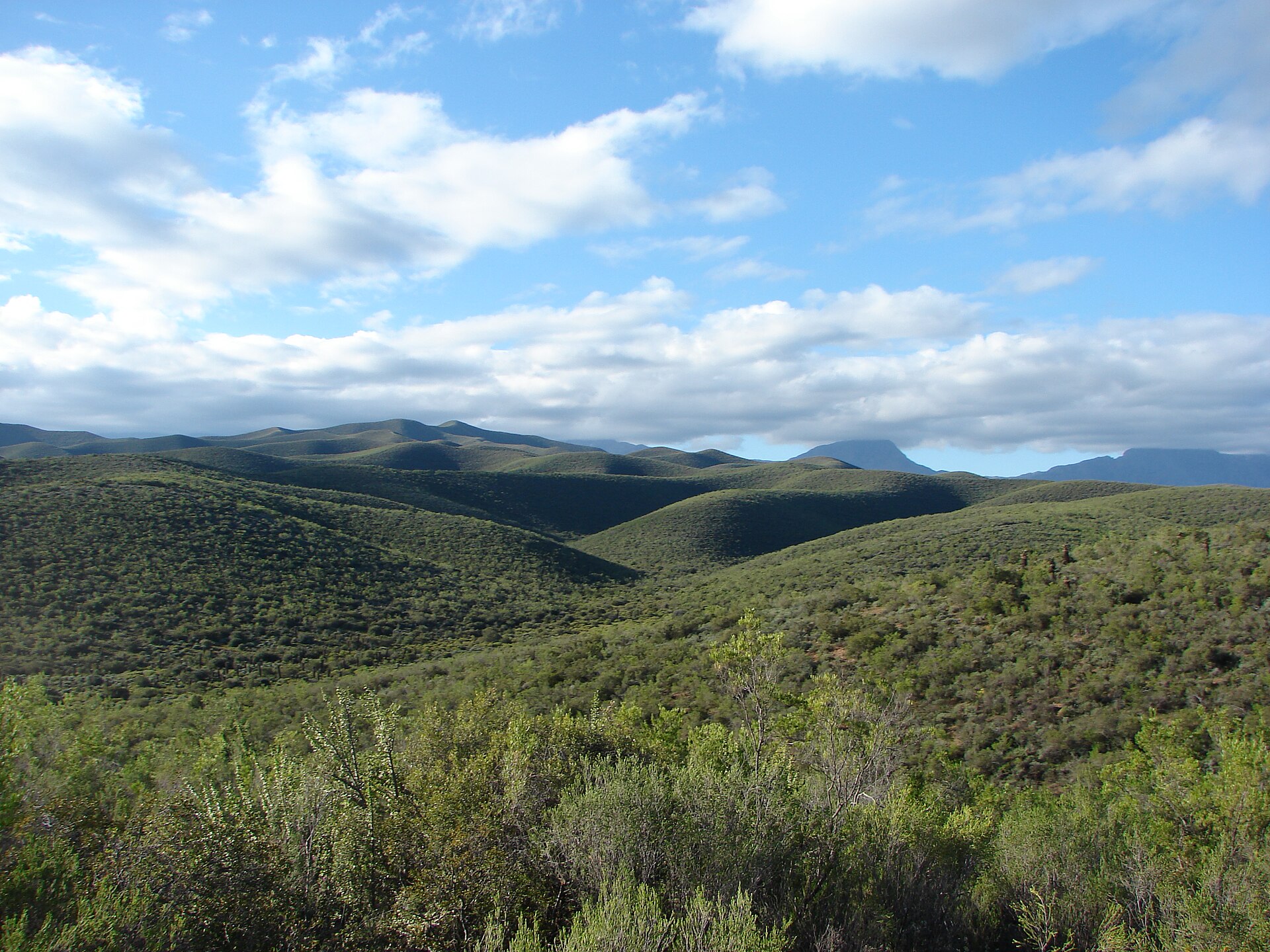 Practical context for FAIRWAYS, WINE & WILD