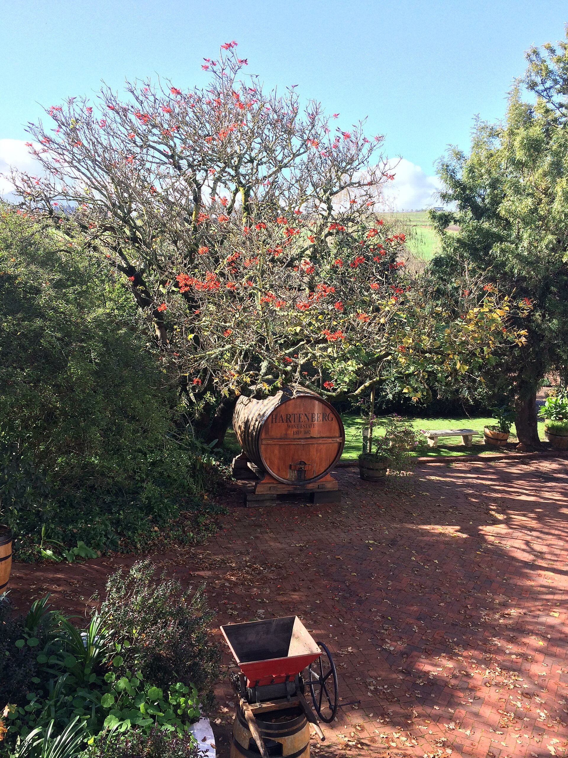 FAIRWAYS, WINE & WILD — Stellenbosch Winelands, South Africa