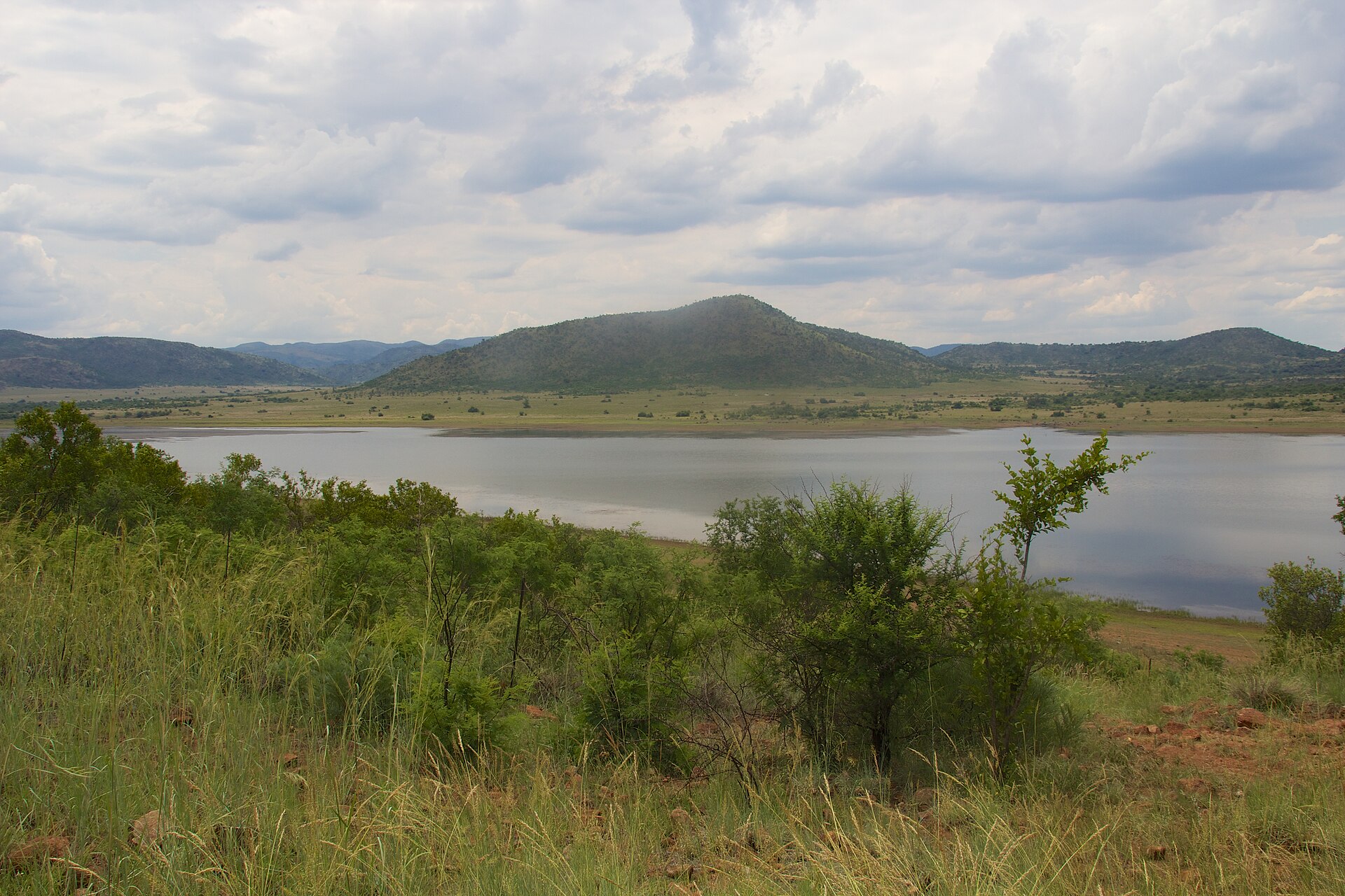 Turn this itinerary into your safari
