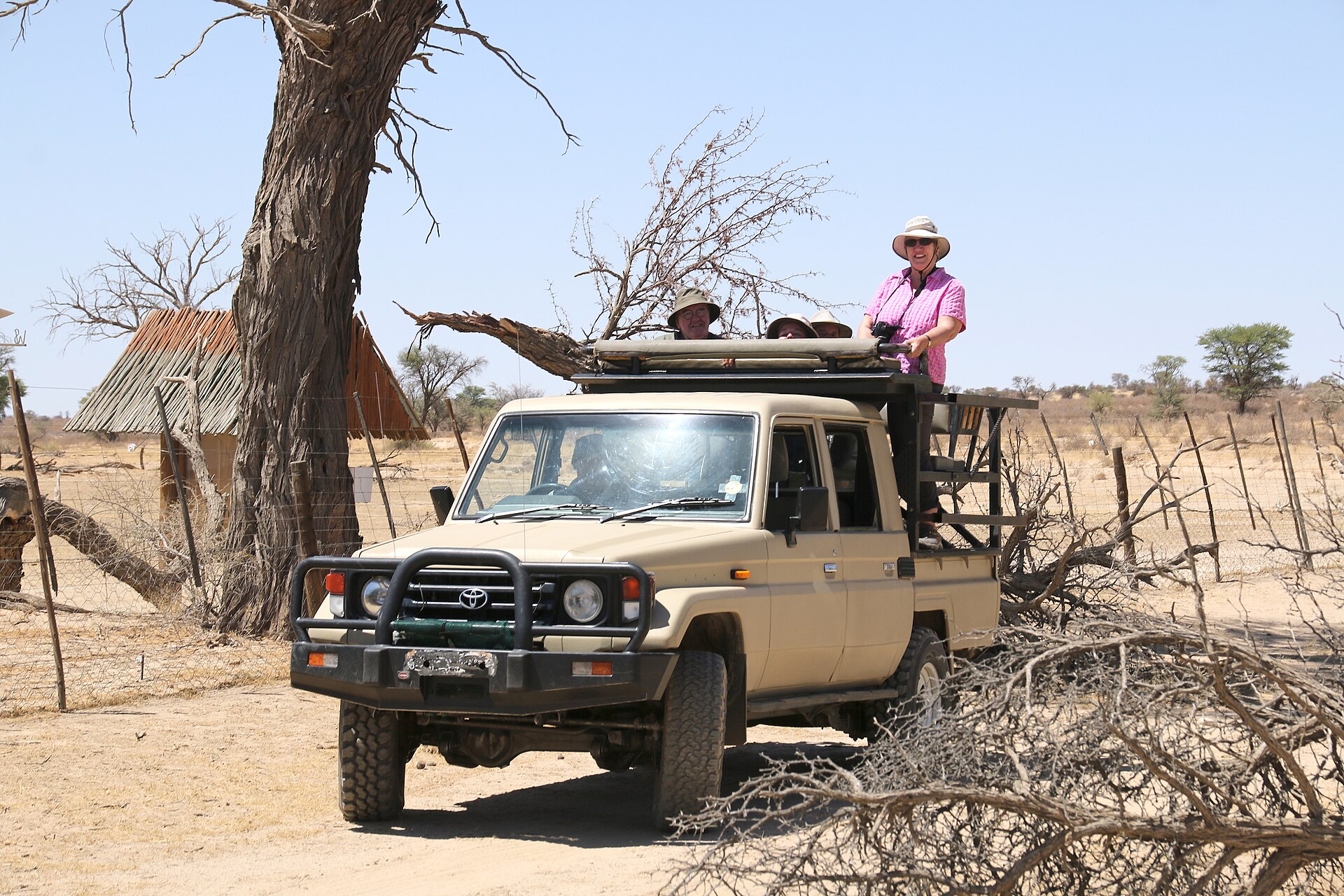 5-Day Pilanesberg Accessible Wildlife Break