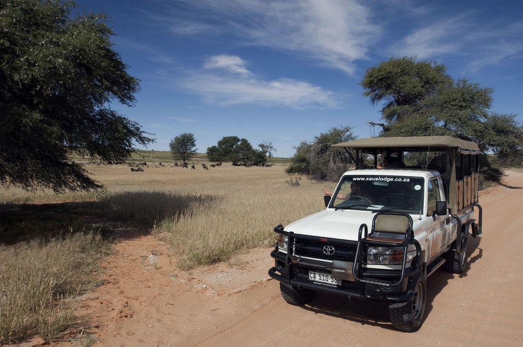 8-Day Small-Group Maasai Mara Safari Departure