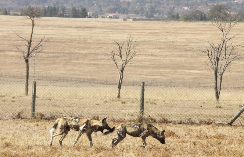 10-Day Small-Group Namibia Self-Drive Convoy
