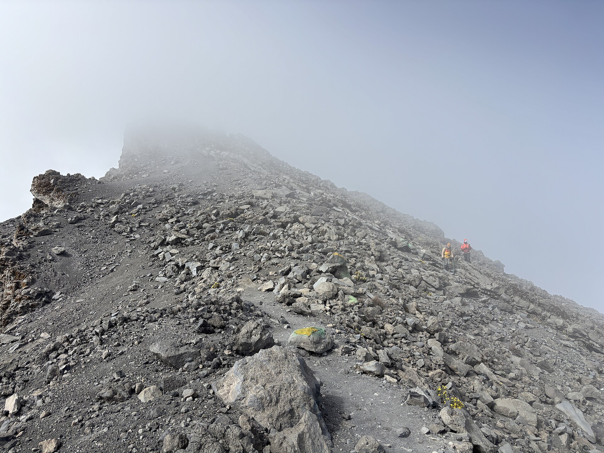 7-Day Aberdare Highlands Trek & Forest Stay