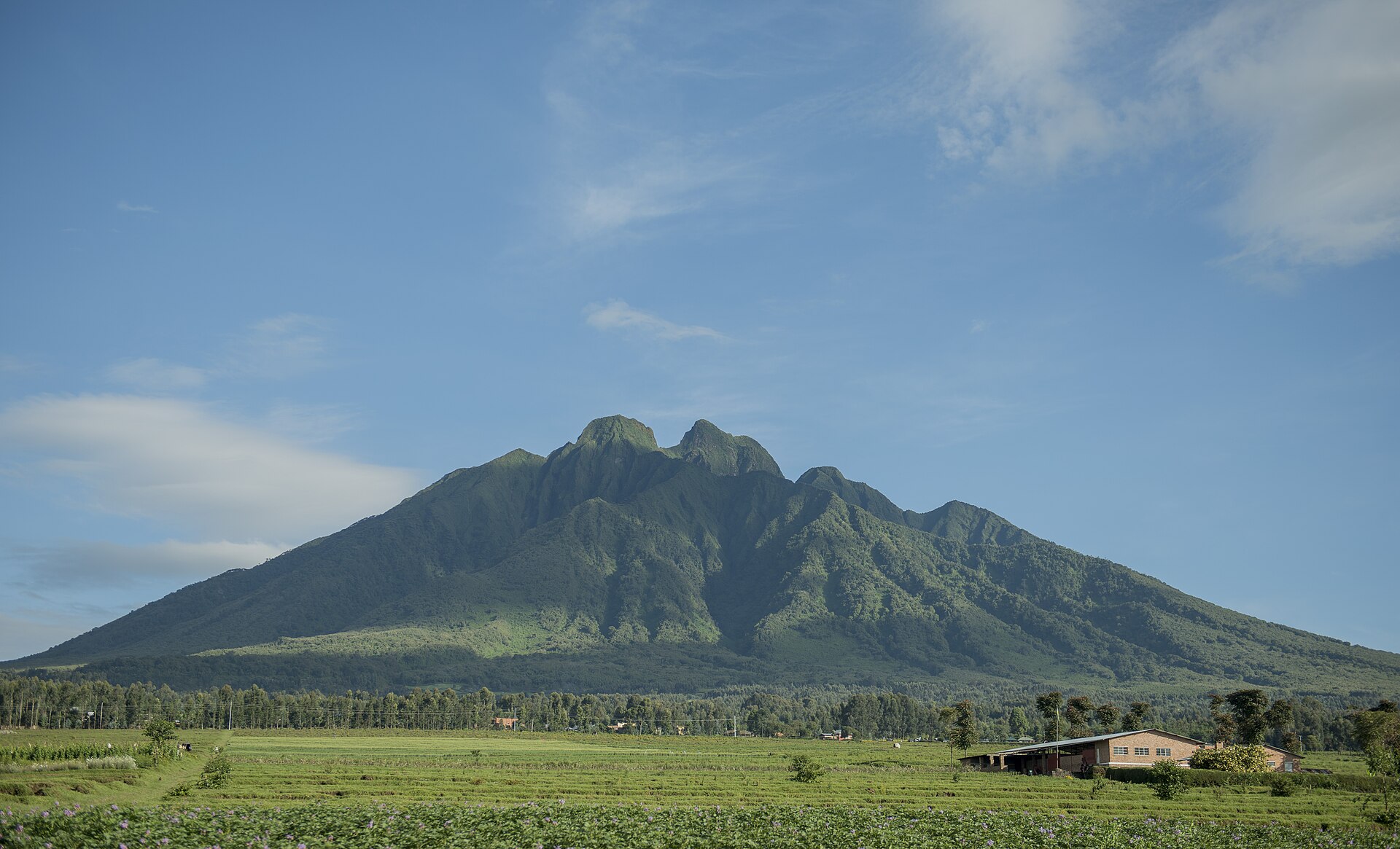 Mount Sabyinyo in the Virunga range