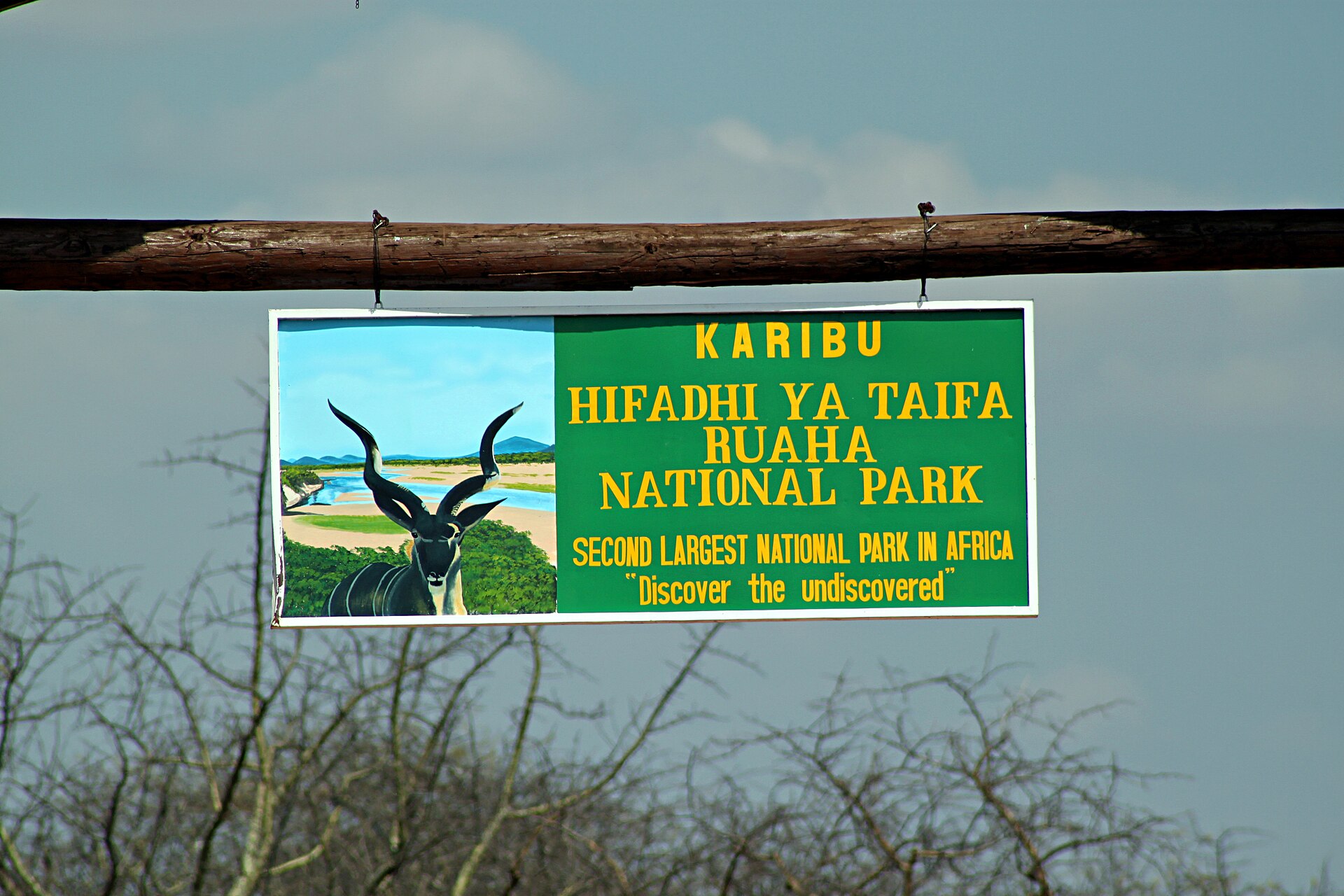 SWING ACROSS THE SERENGETI
