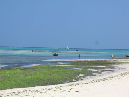 Islands & Coast