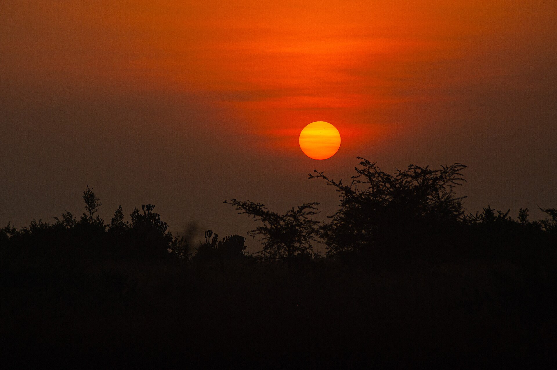 Mount Elgon