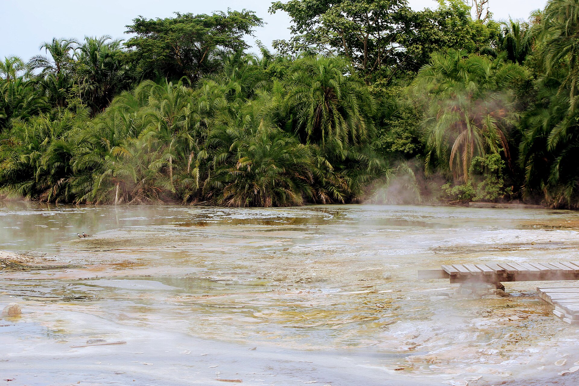 Turn this itinerary into your safari