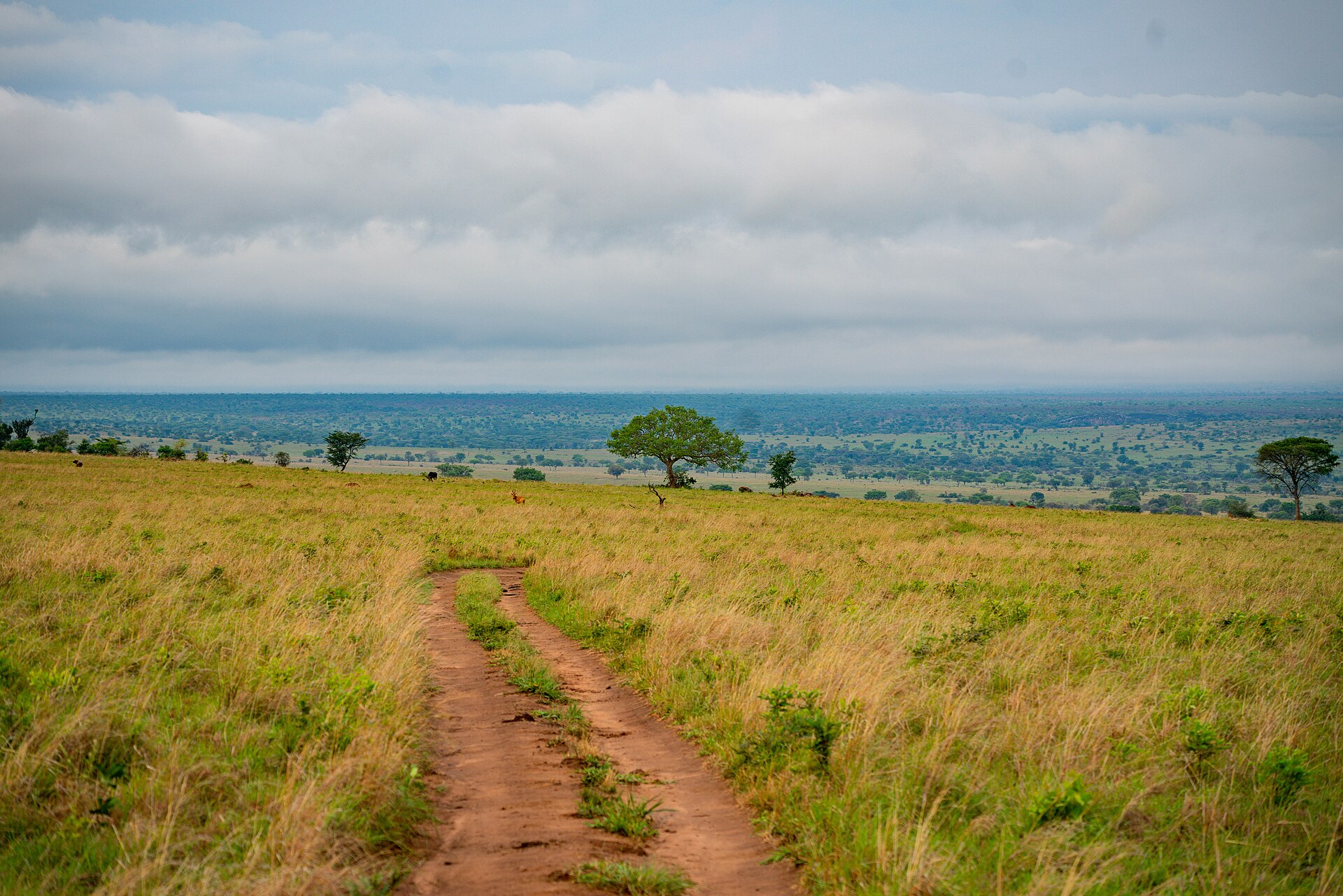 Savannah and mountains in Kidepo Valley National Park