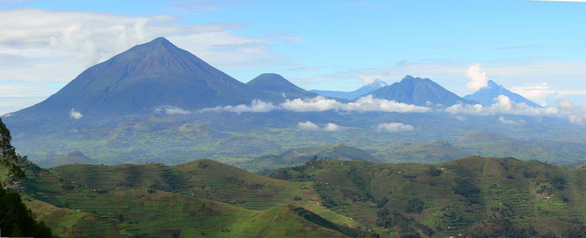 Virunga volcanoes in Mgahinga Gorilla National Park