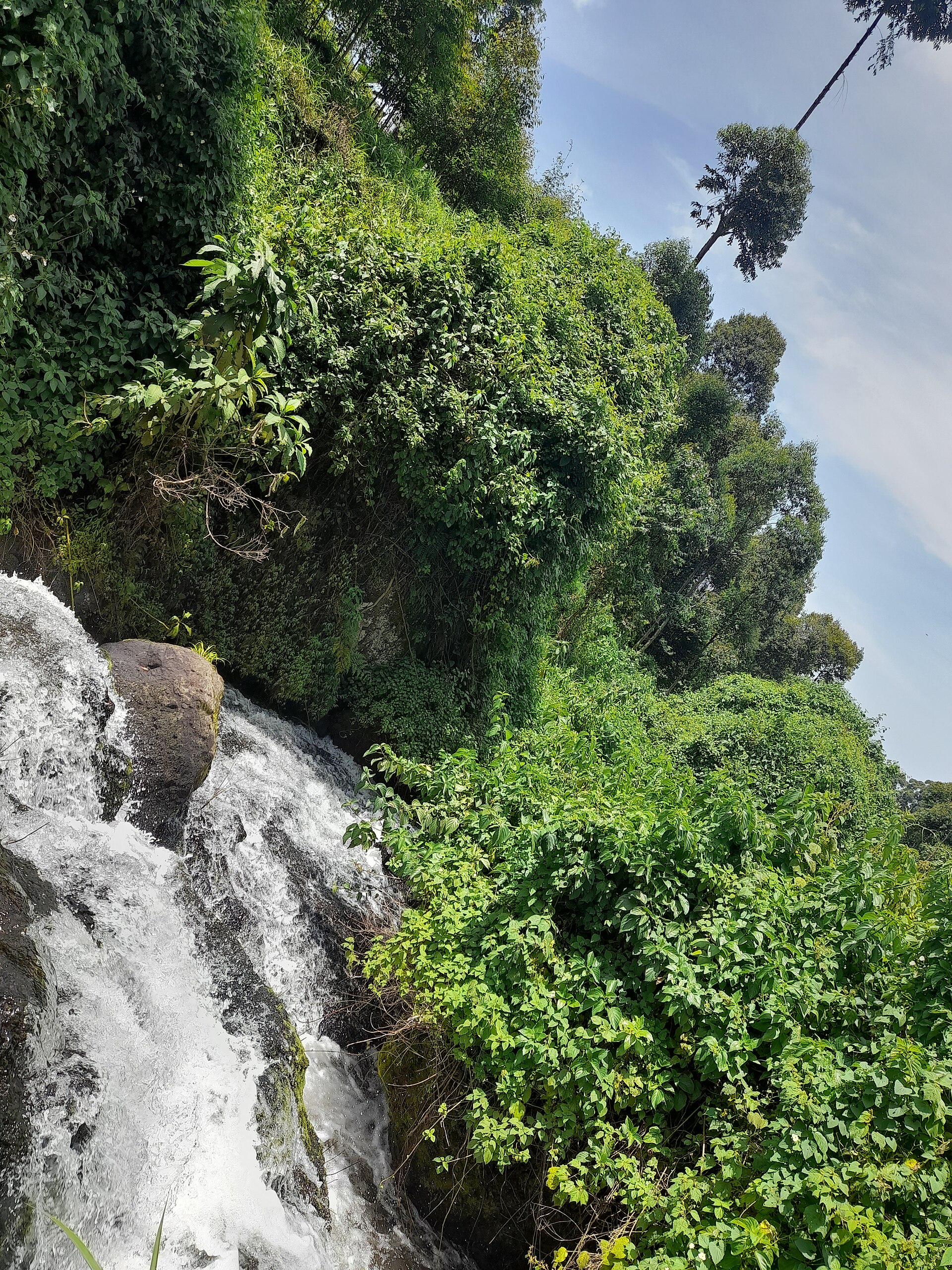 Gorilla Trekking & Golf Safari in Western Uganda