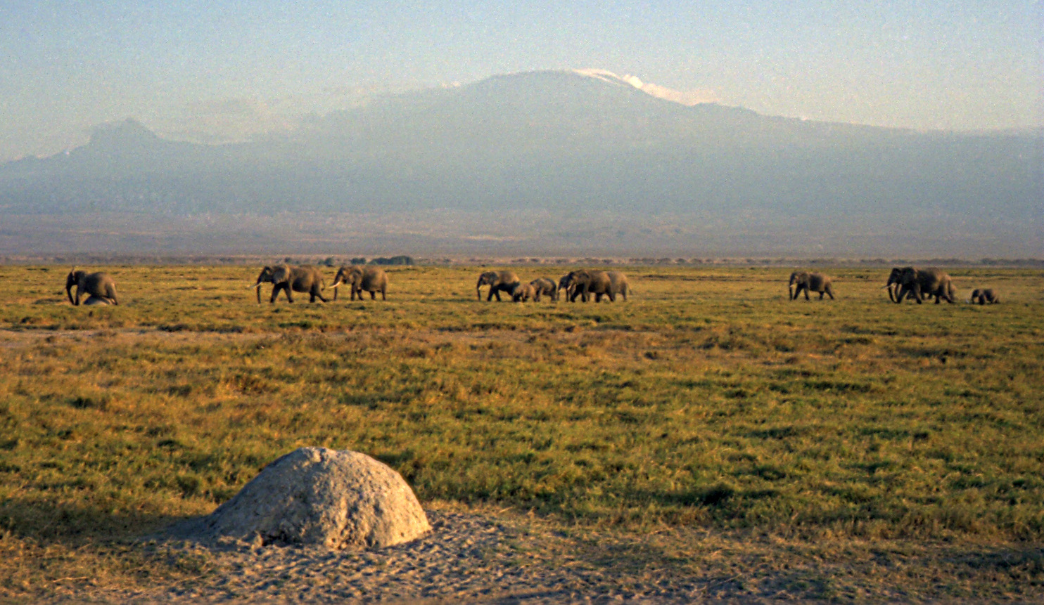 Journal in Kenya