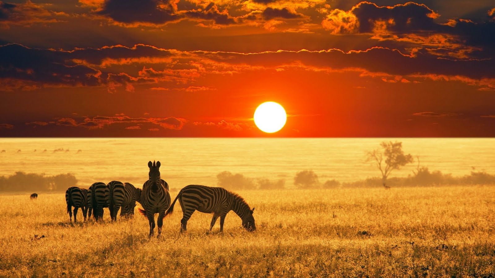 Tanzania Golf Safaris