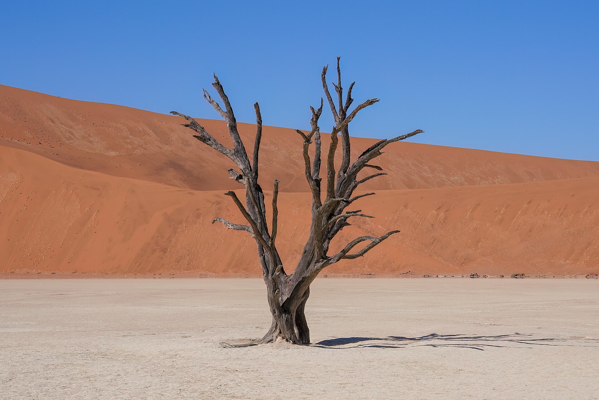 Journal in Namibia