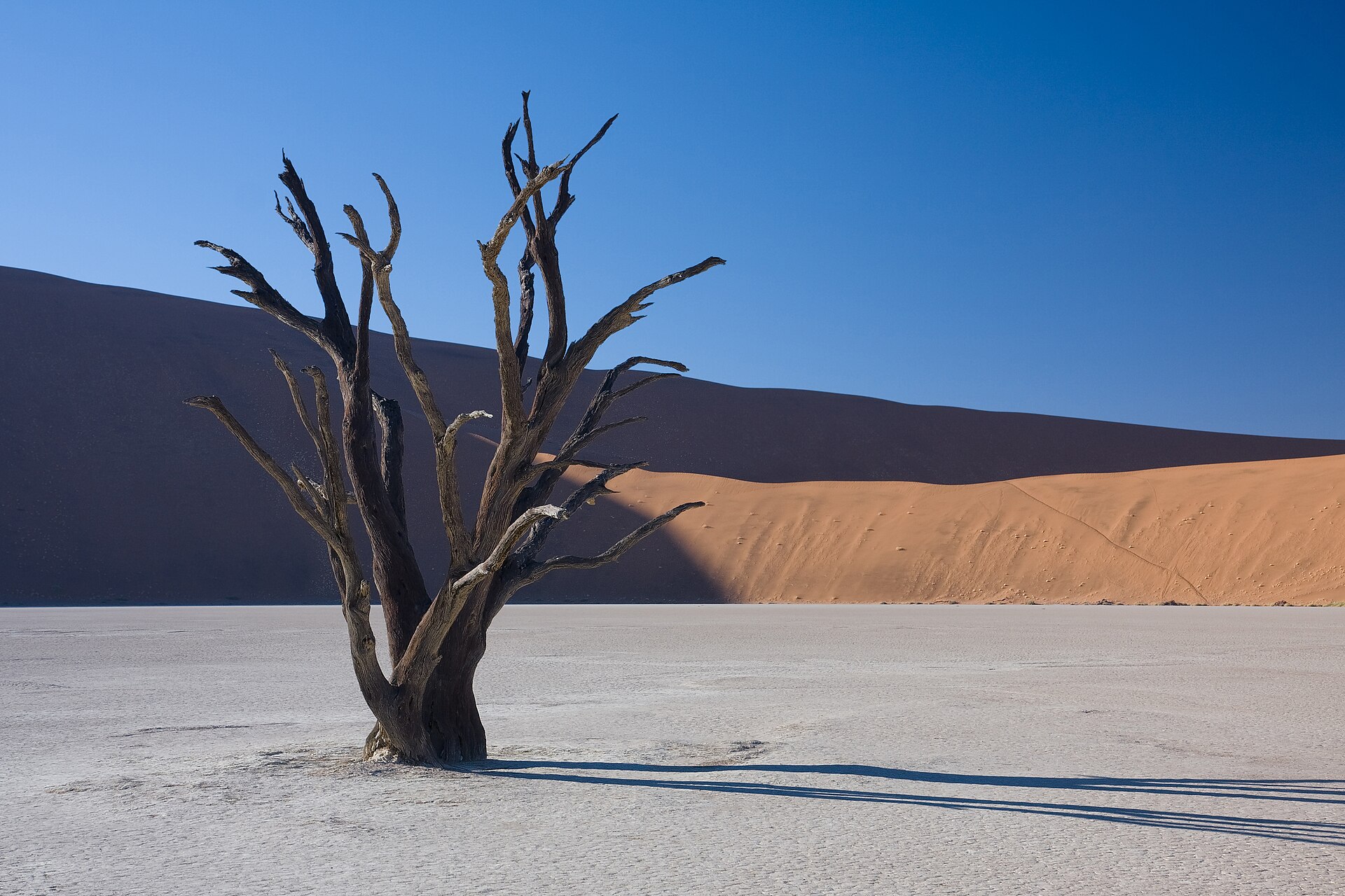 Travellers reviews in Namibia