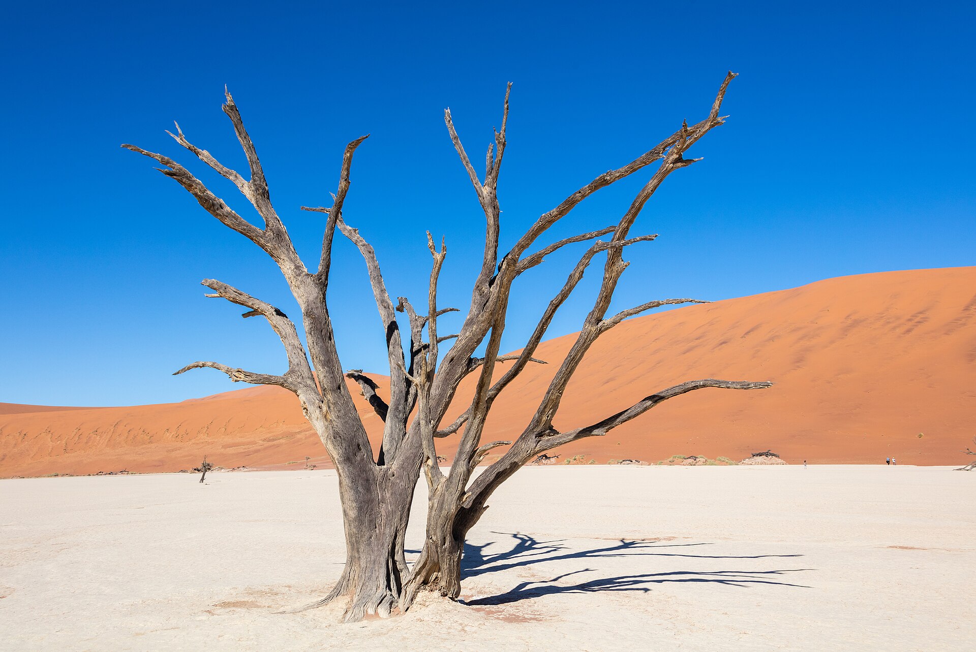 Namib dunes
