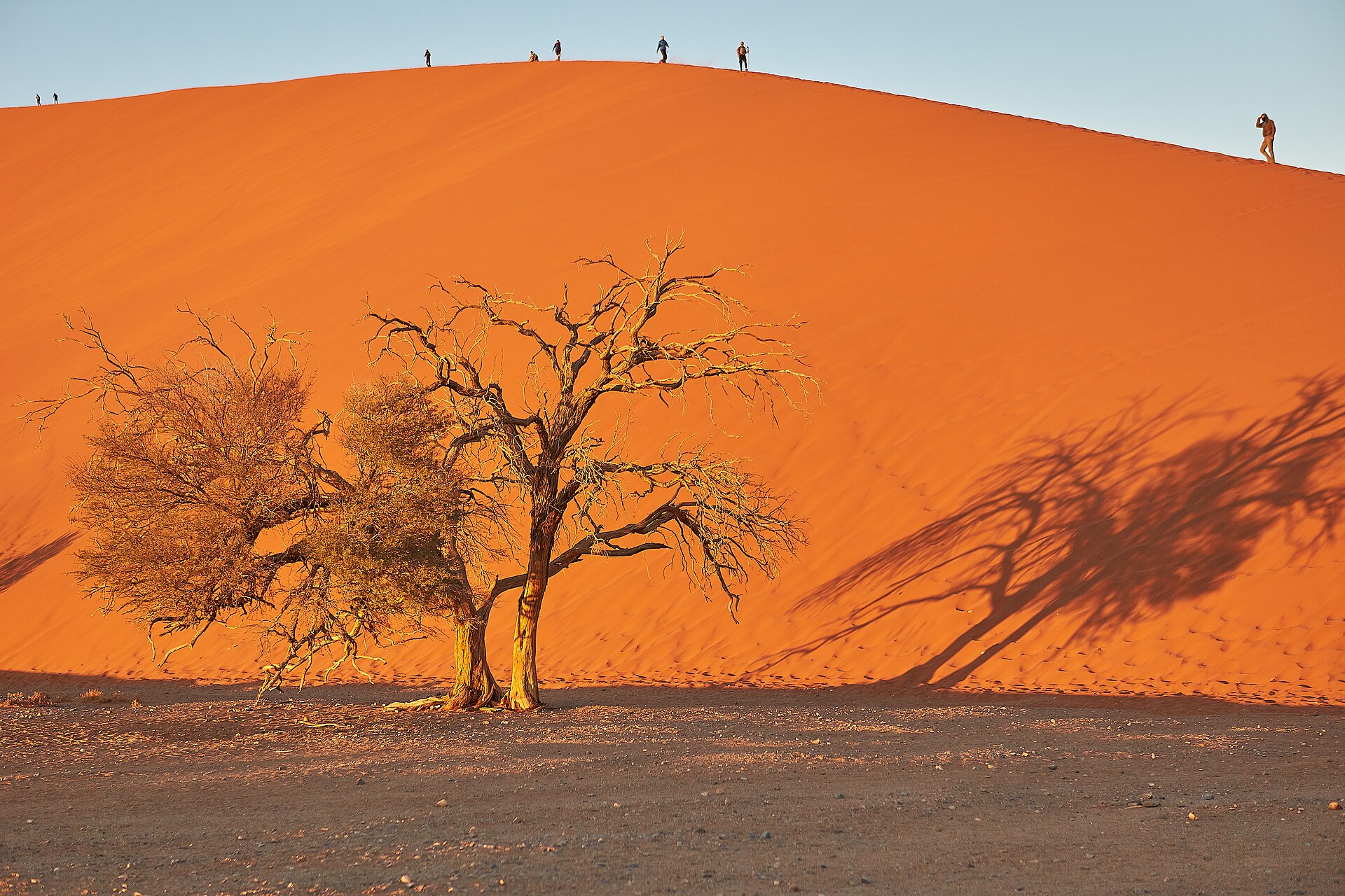 Namibia