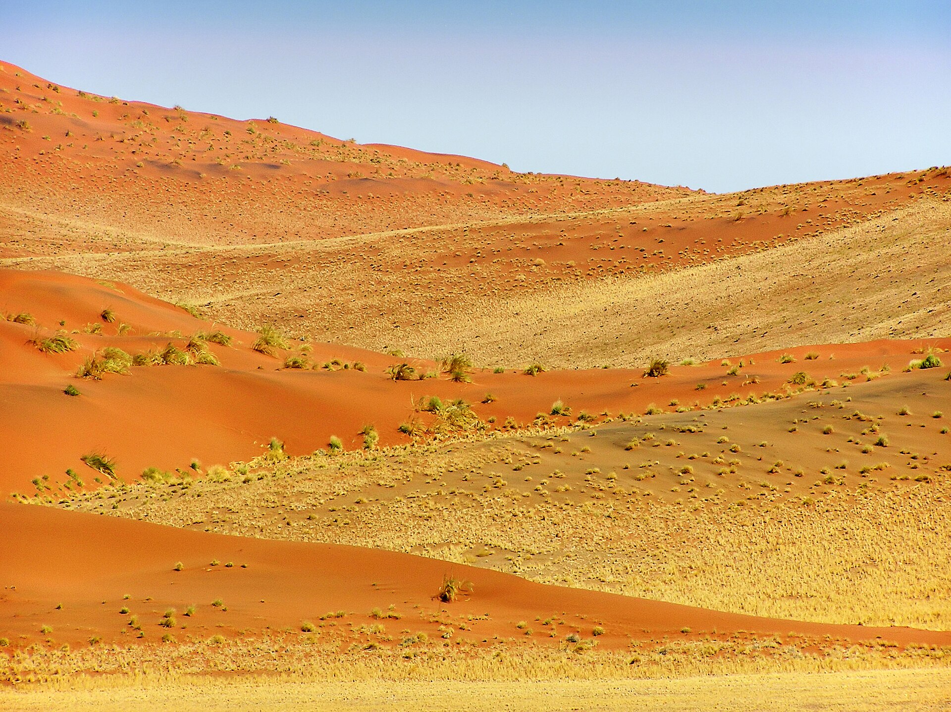 Experiences on Namibia Etosha & Sossusvlei Circuit