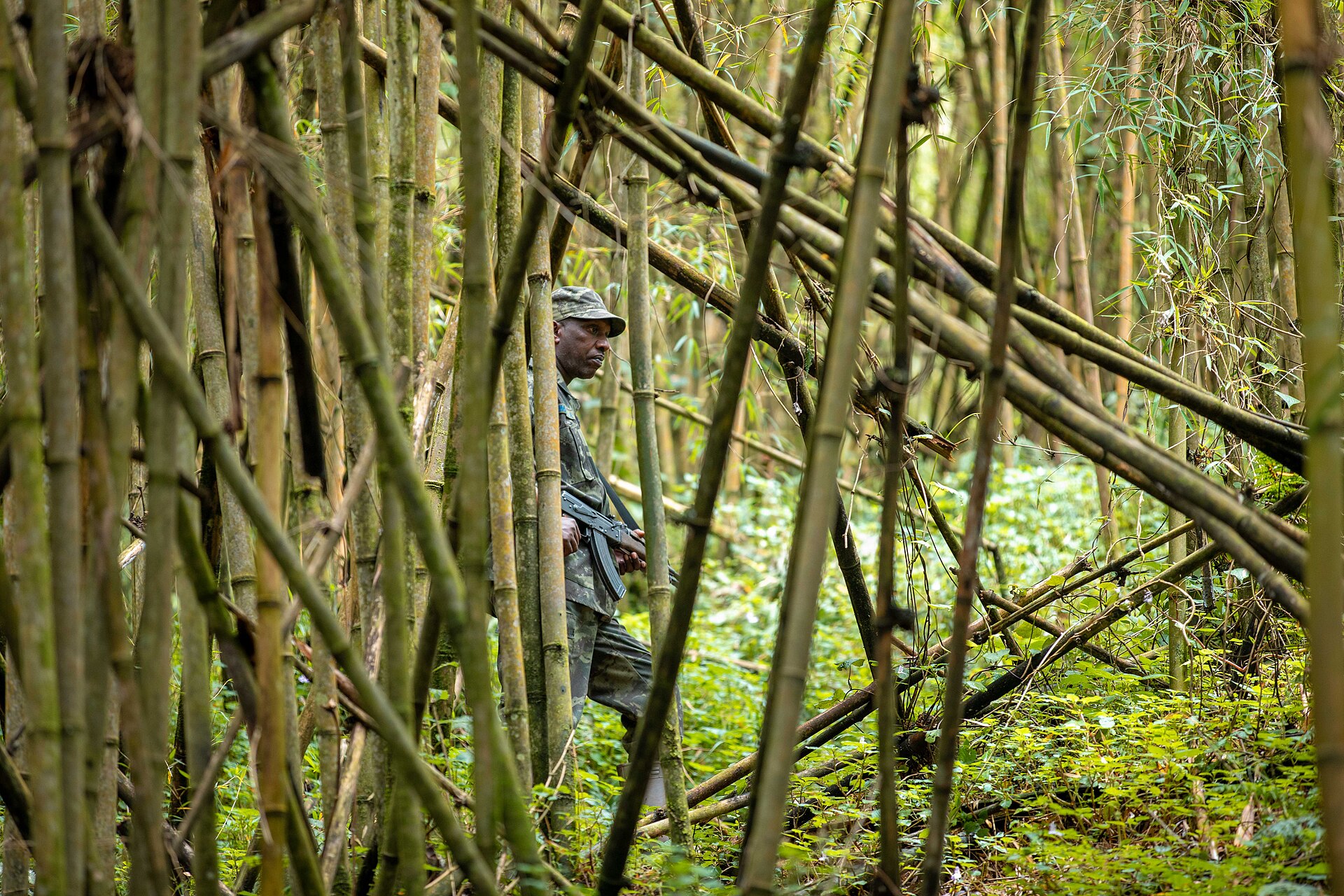 Golf and Gorilla Safari Adventure – 7 Days in Rwanda