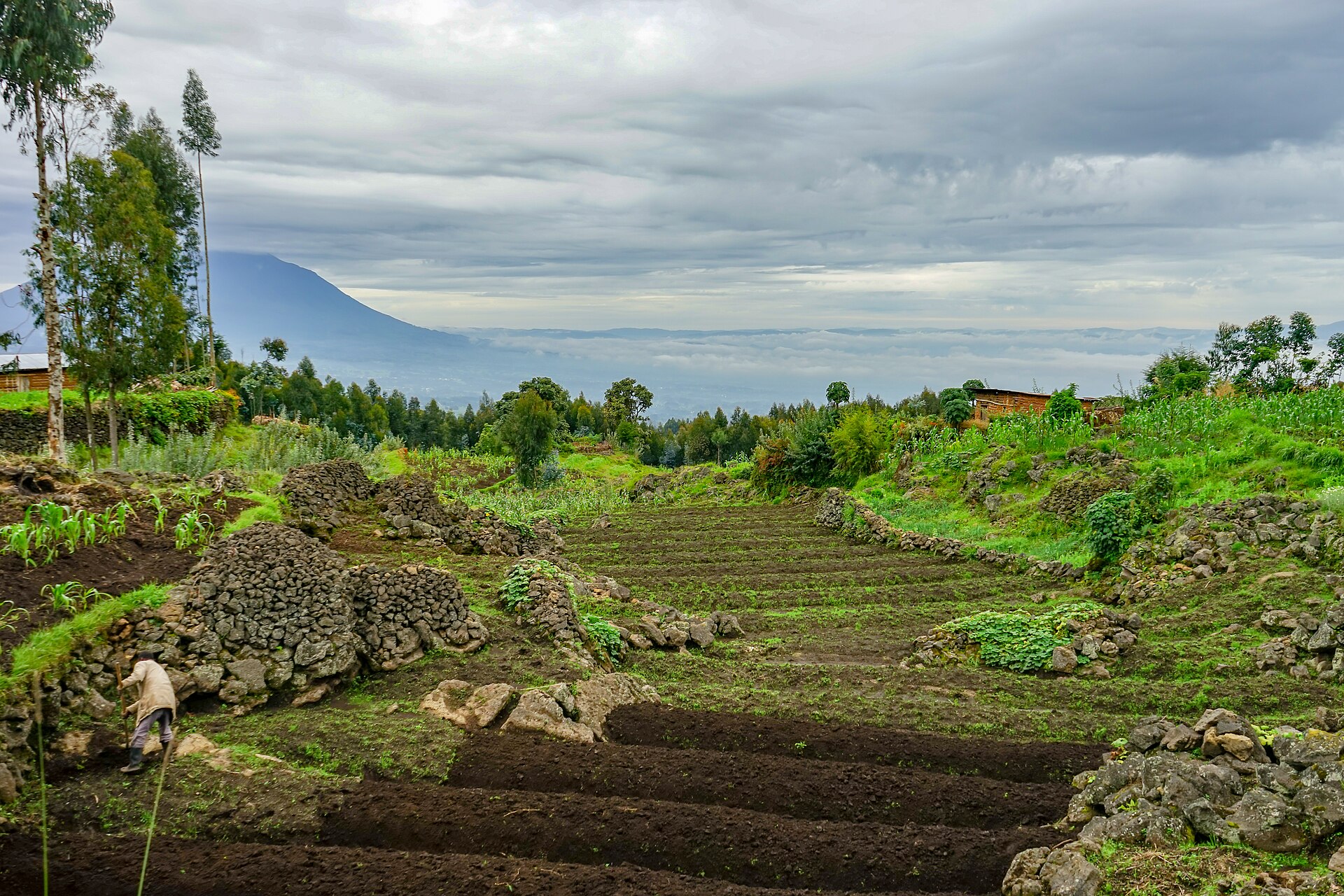 Rwanda