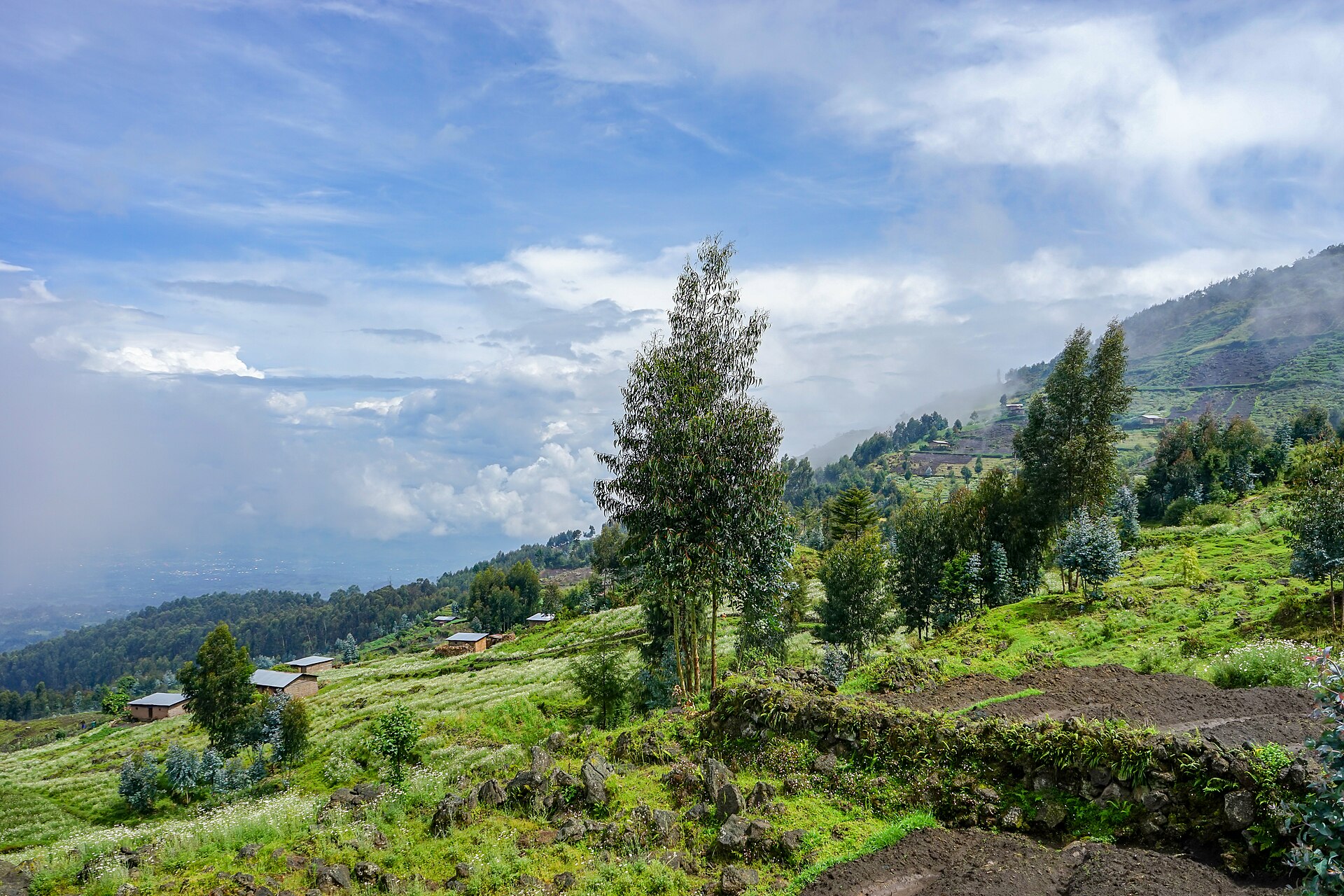 8-Day Rwanda Tri-Park Circle