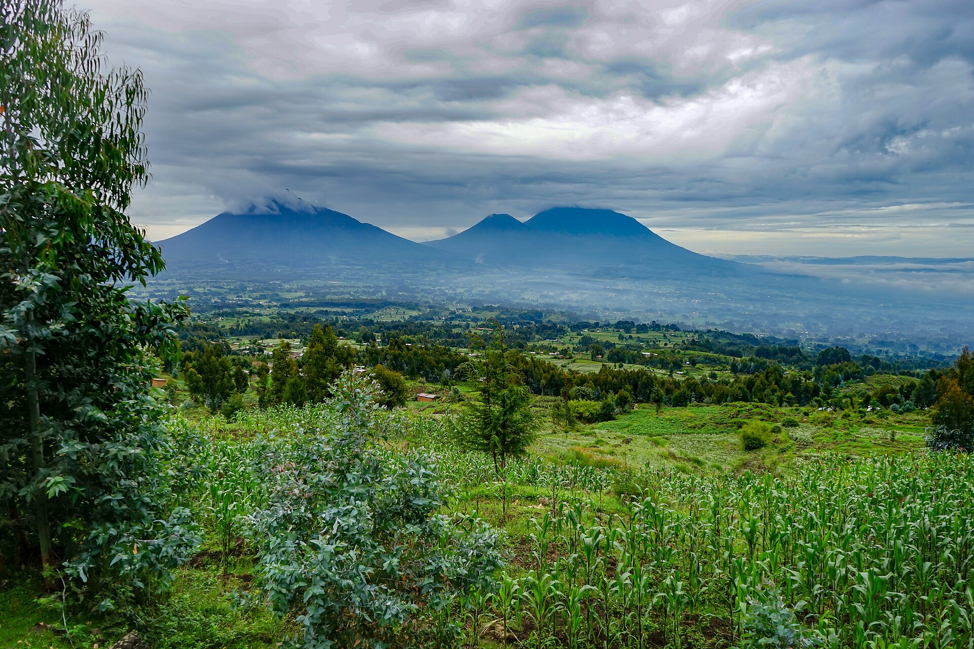 Activities in Rwanda