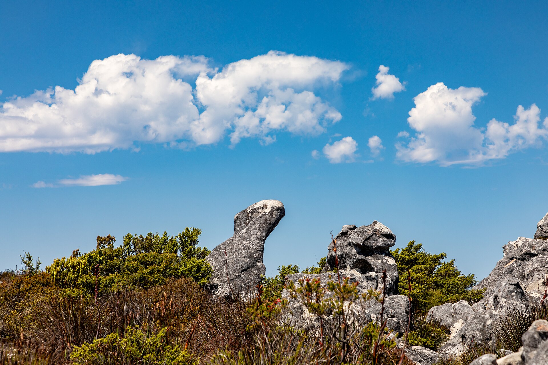 Travellers reviews in South Africa