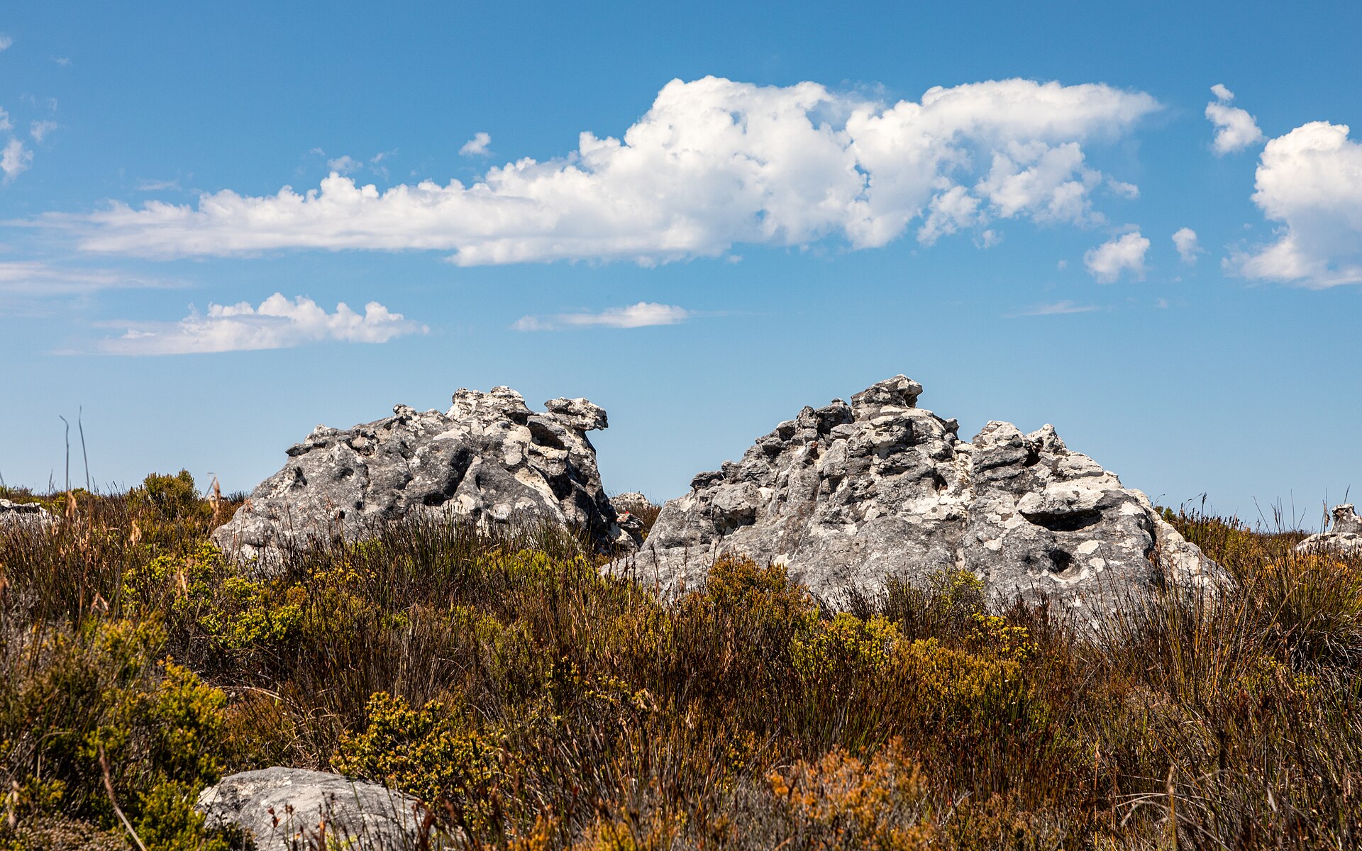 Chobe water and southern African wilderness