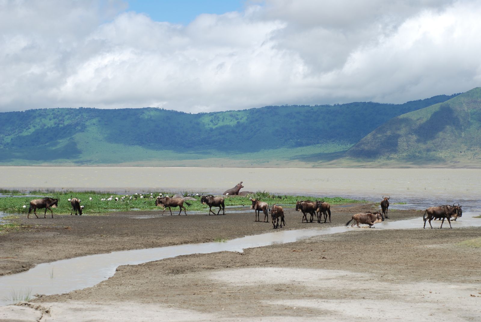 Turn this itinerary into your safari