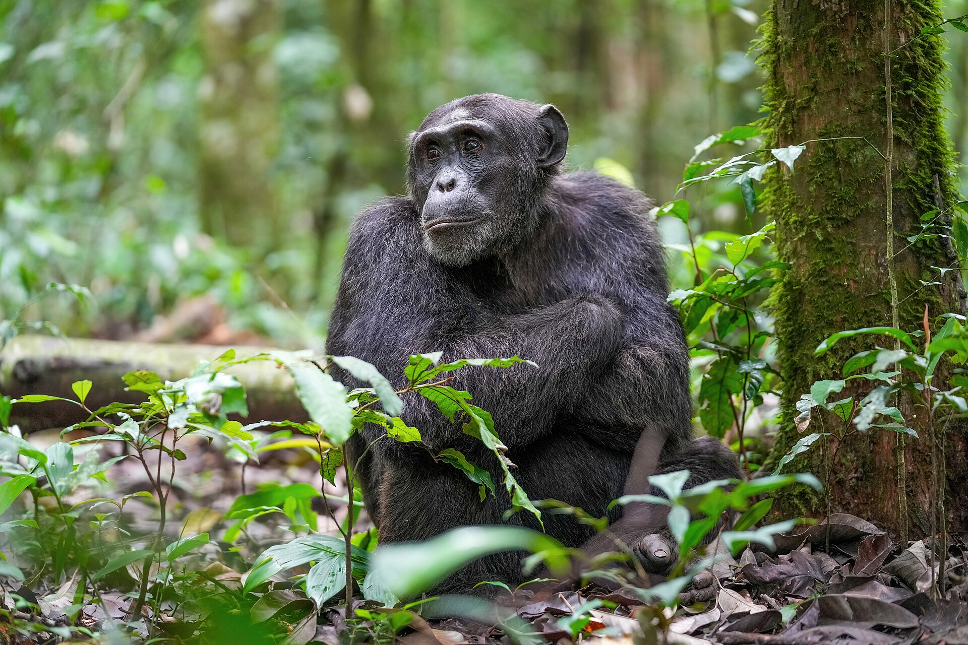 Activities in Uganda