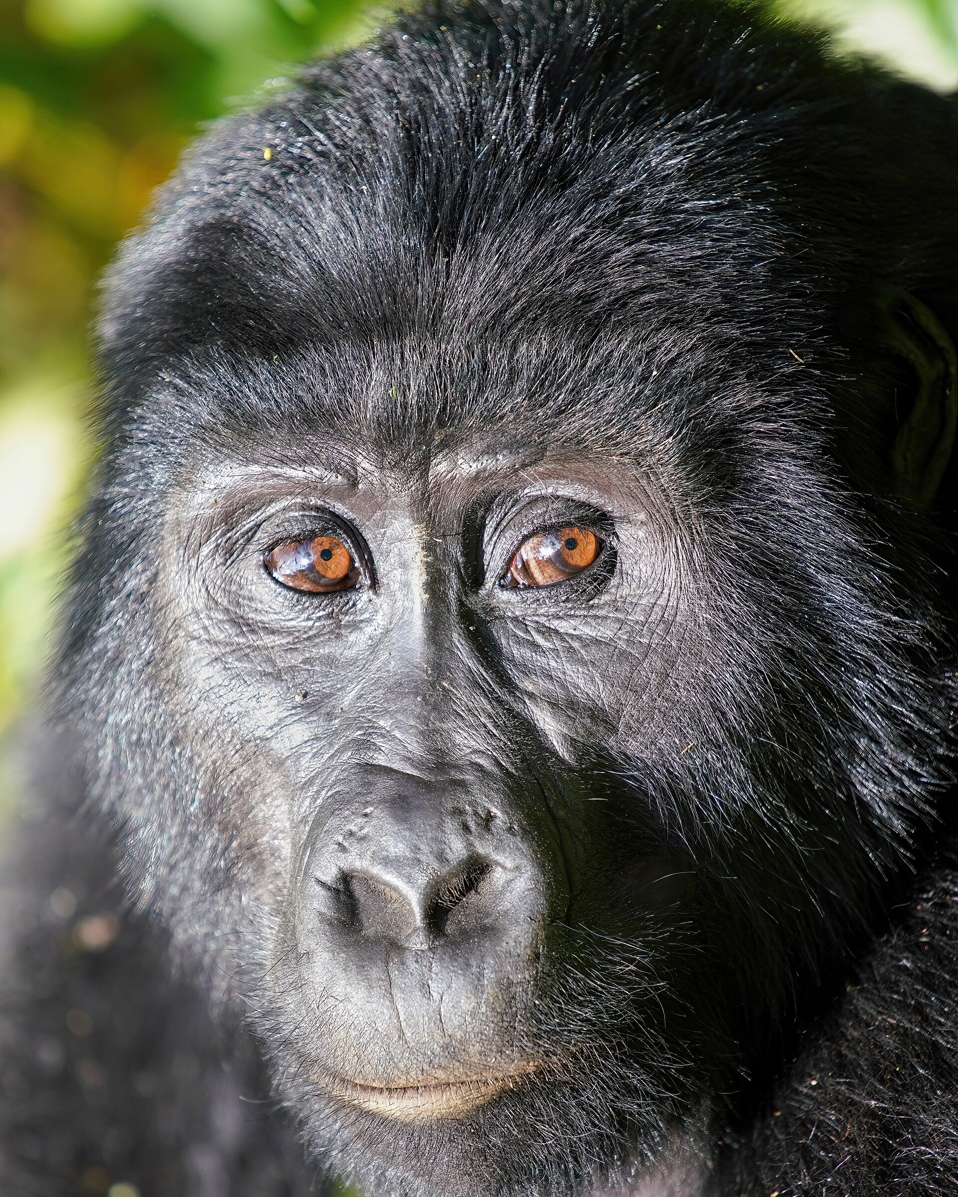 Lake Mburo National Park
