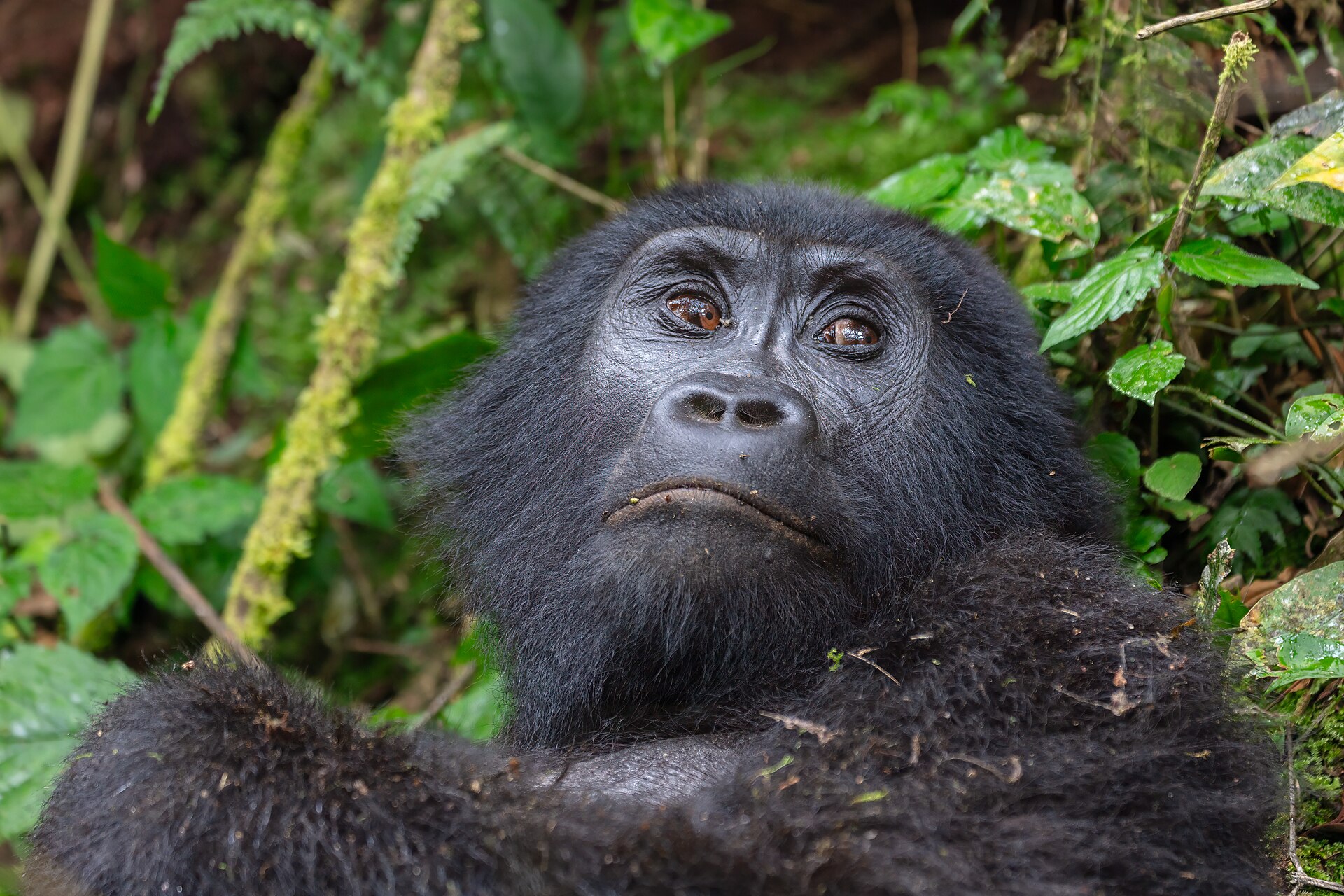 Practical Africa travel information