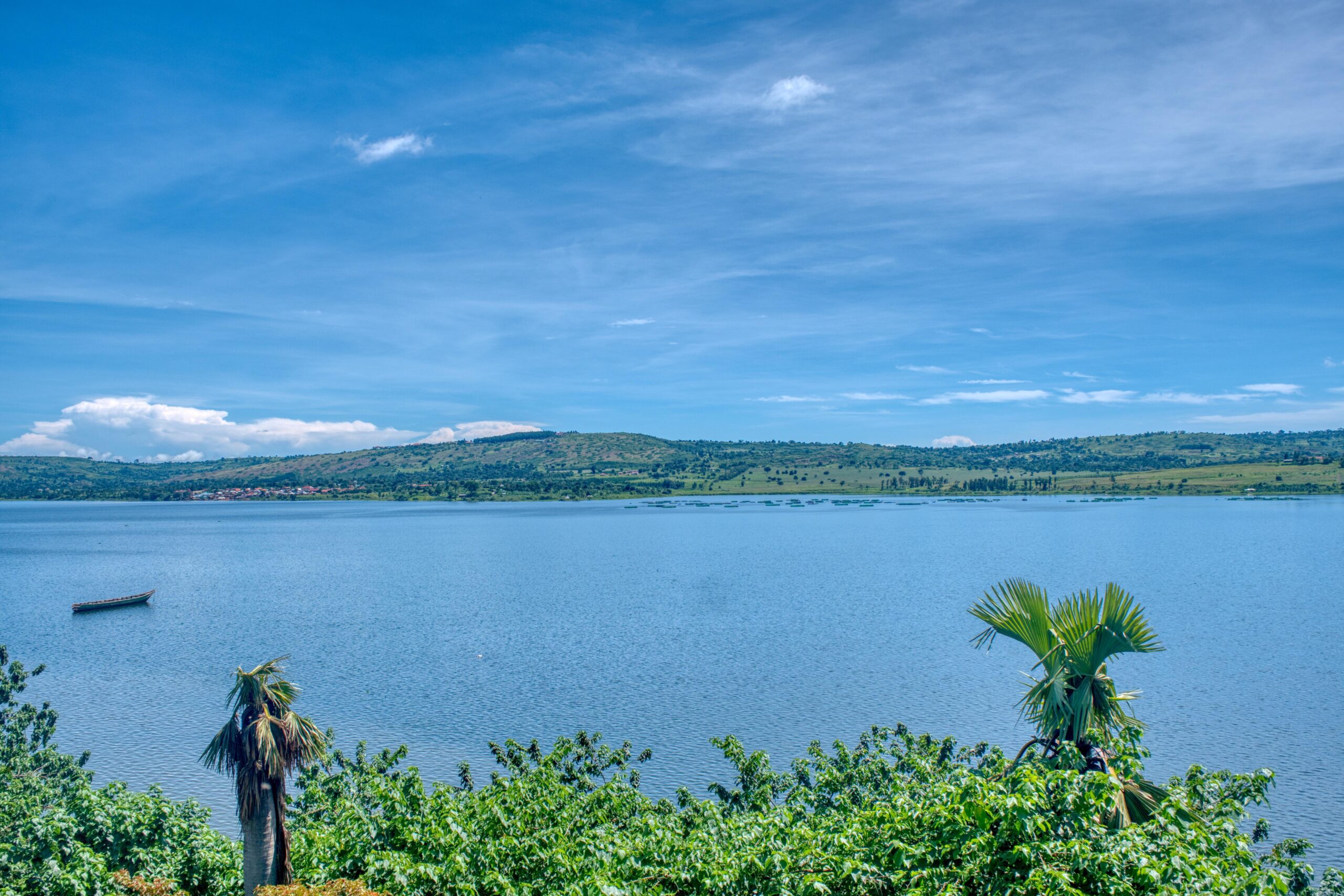 Activities in Uganda