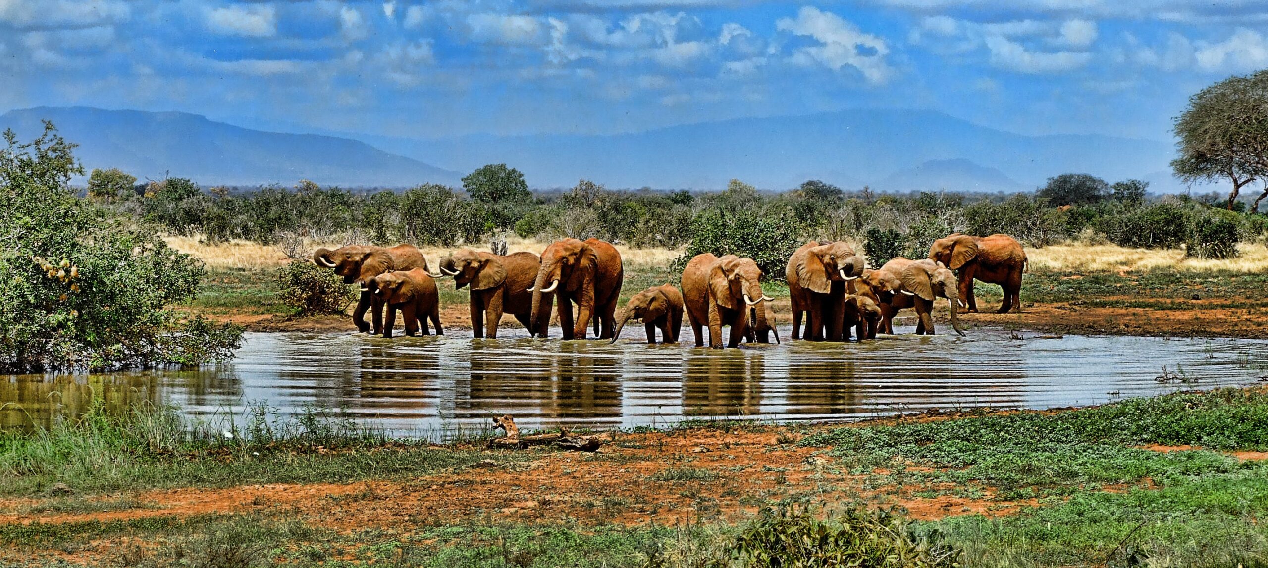 Discover Botswana