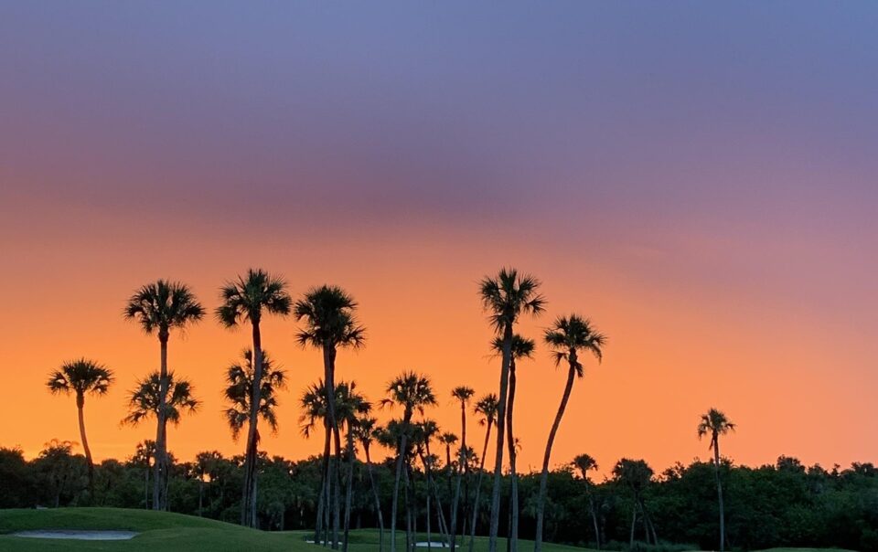 sunset-4540772_1920